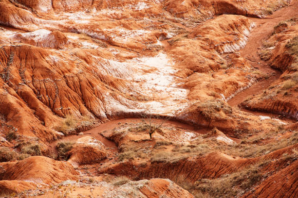 istock Nature of Oklahoma 1207634080