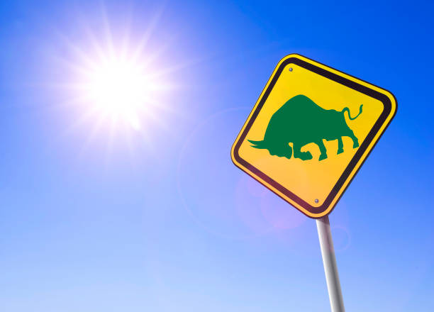 istock Bull market is ahead 1207646116