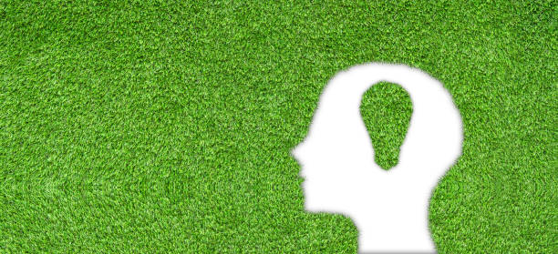 istock Artificial green grass in light bulb shape glowing in brain. 1207646247