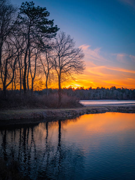 ケープコッドの洪水クランベリー泥沼の静かな夕日のシーン - massachusetts agriculture crop farm ストックフォトと画像