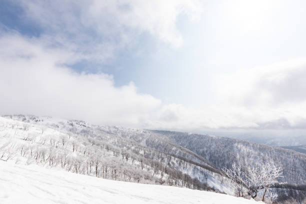 istock ski resort,akita prefecture in japan 1207649395