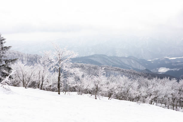 istock ski resort,akita prefecture in japan 1207649529