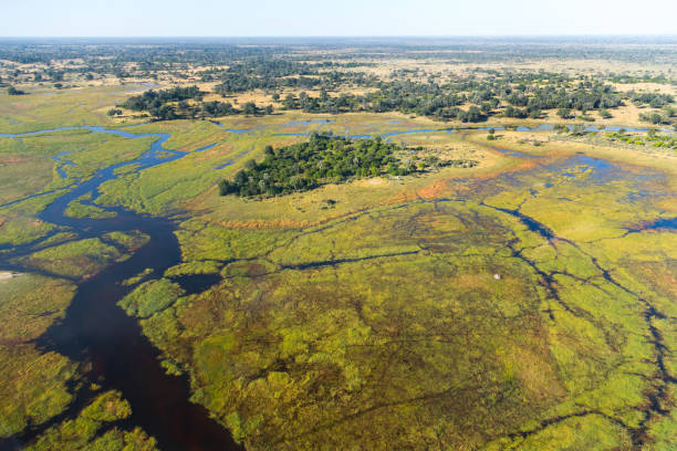 istock Aerial View over Okavango Delta 1207652560