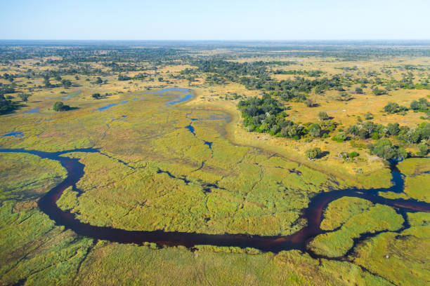 Aerial View over Okavango Delta stock photo