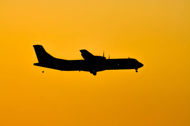 istock Shodow of Passenger Airplane Landing 1207655969