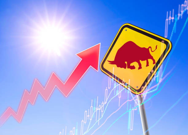istock Bull market is ahead 1207660123