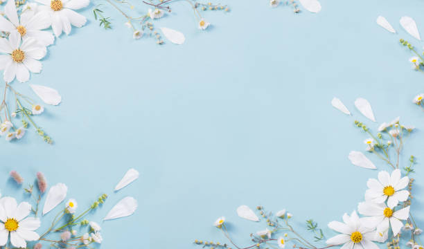 istock white flowers on paper background 1207665485