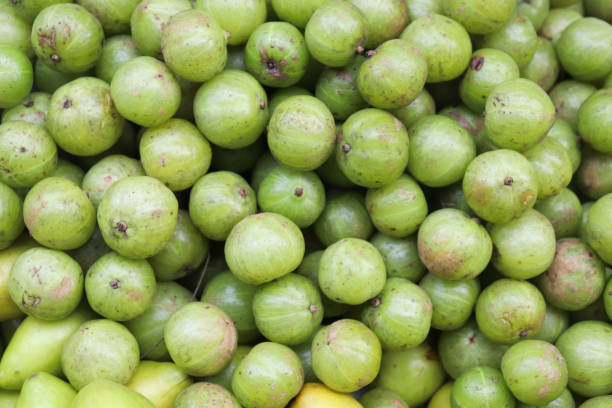 istock Amla Background. Green Indian Gooseberry Amla Background 1207674068