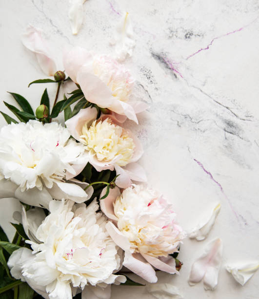 istock Pink peonies on a marble background 1207680743