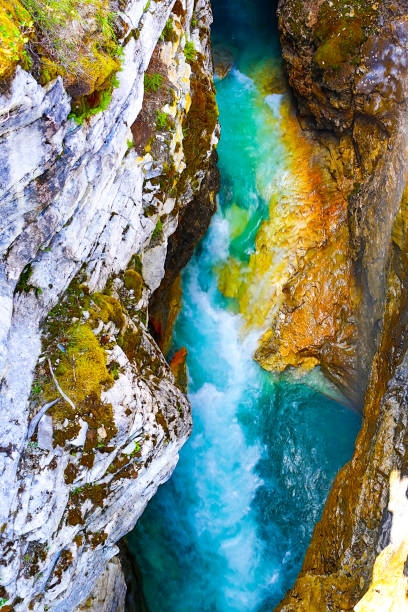 kanadische rockies - kootenay - marble canyon stock-fotos und bilder