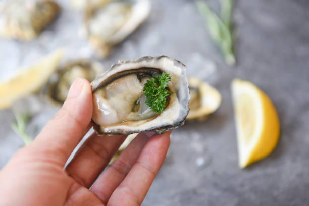 istock Fresh oysters seafood in hand on a black plate background - Close up oyster shell 1207684525