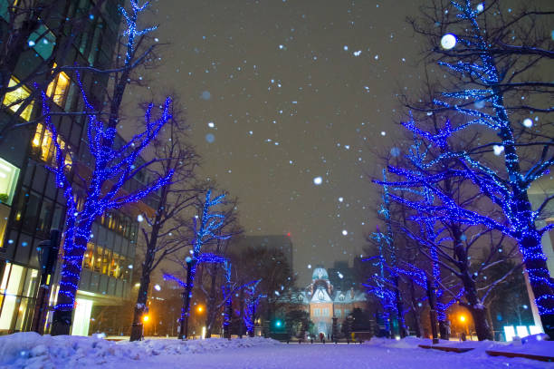 istock Night view of snow scene 1207686371