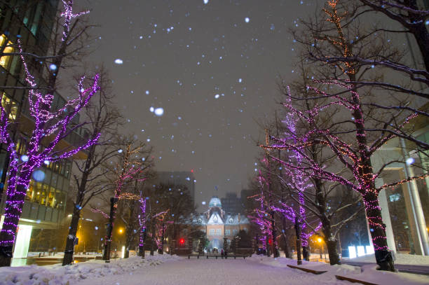 istock Night view of snow scene 1207686373