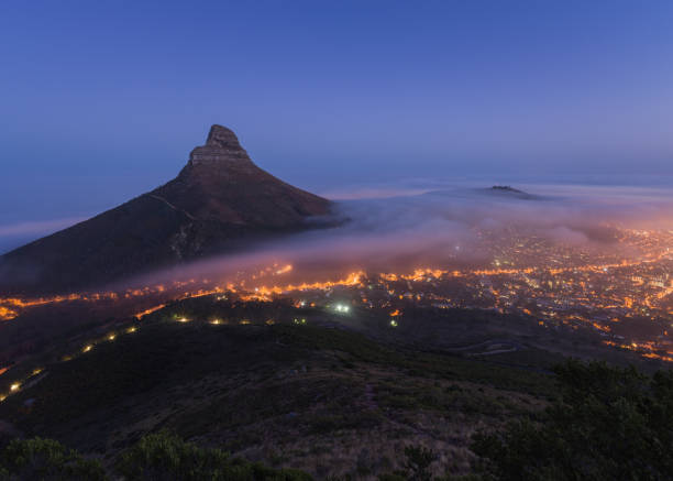 istock Lions head above the fog 1207689297
