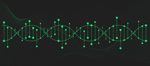 ilustrações, clipart, desenhos animados e ícones de dna_30 - dna backgrounds healthcare and medicine magnification