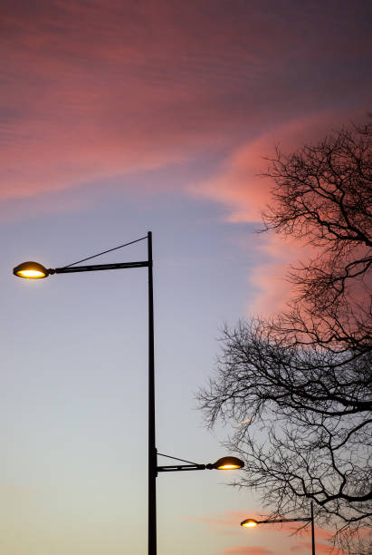 istock street light silhouette ad trees on beautiful sky by sunset 1207693018