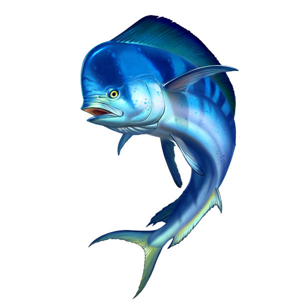 istock Mahi mahi or dolphin fish realistic illustration realistic illustration. 1207694691