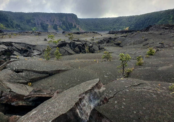 istock Kilauea Iki Trail in Hawaii Volcanoes National Park 1207696830