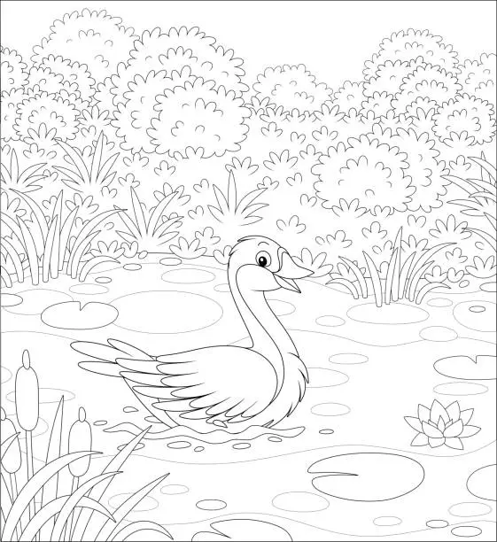 Vector illustration of Big wild goose on a beautiful forest lake