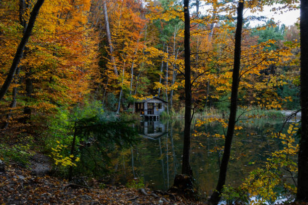istock Turtle lake in autumn Yalta Crimea 1207703850
