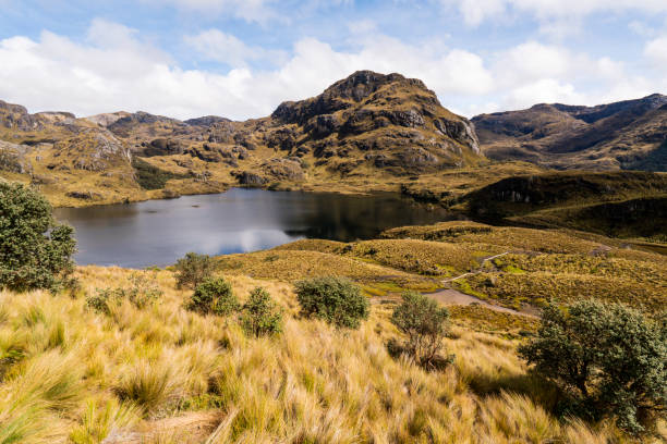 istock Lakes in  El Cajas national park, Ecuador 1207704392