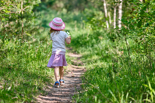 Rear view of young 3 year old girl with water bottle in her hand walking on a narrow path in the green summer forest. Seen in Germany in June.