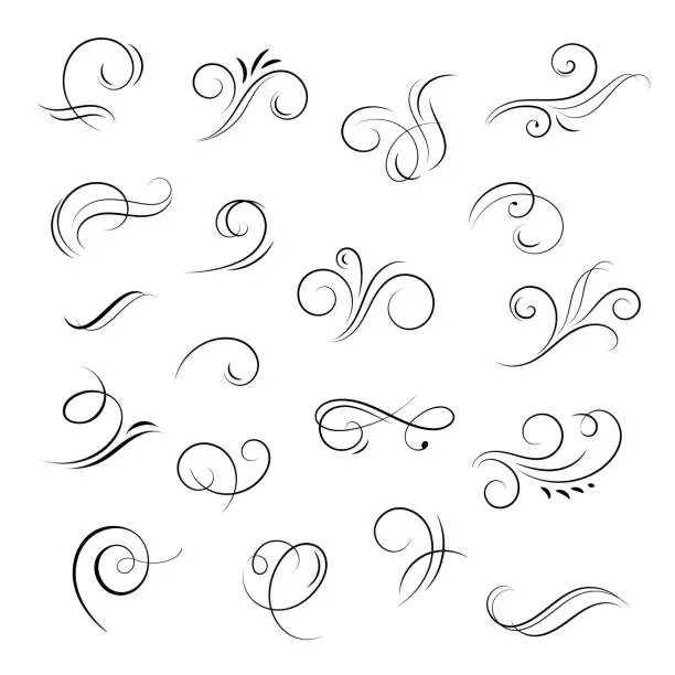Vector illustration of Hand drawn flourishes swirls, calligraphic, wedding decor design elements