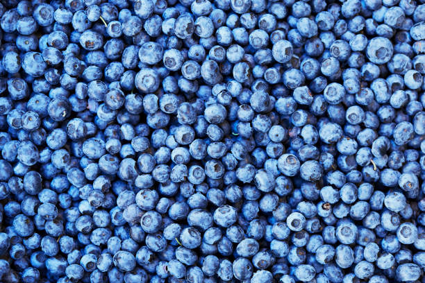 istock Fresh blueberry background. Texture blueberry berries 1207711082