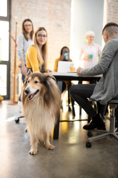 istock Favorite one at the office 1207711394