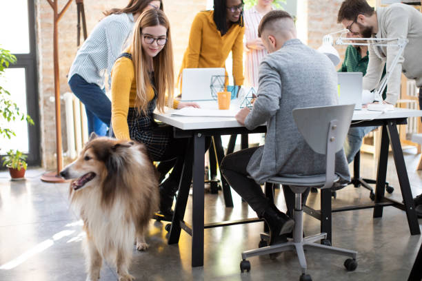 istock Business meeting at the pet friendly office 1207711402