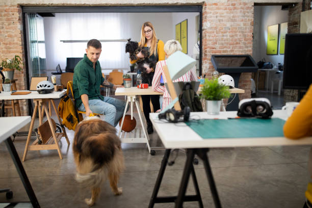 istock Pets lovers at their place of work 1207711476
