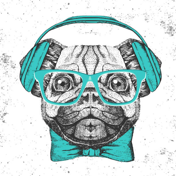 illustrations, cliparts, dessins animés et icônes de chiot animal rétro hipster avec des écouteurs. muzzle de dessin de main du pug-dog - nose job audio