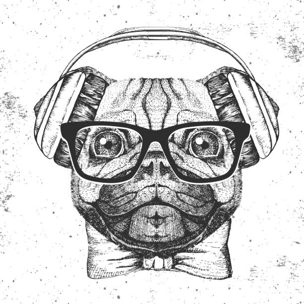 illustrations, cliparts, dessins animés et icônes de chiot animal rétro hipster avec des écouteurs. muzzle de dessin de main du pug-dog - nose job audio