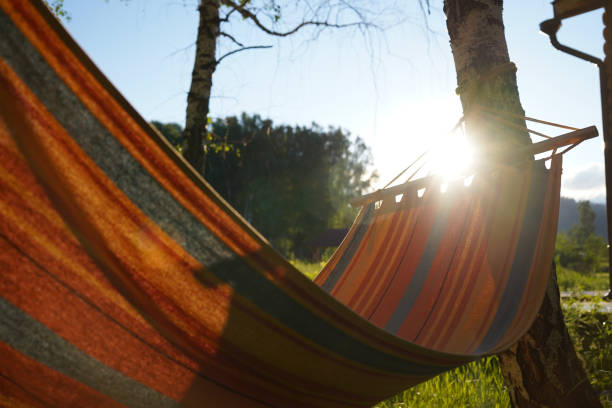 istock An empty hammock with red and blue stripes is hanging on the bearch tree 1207718066