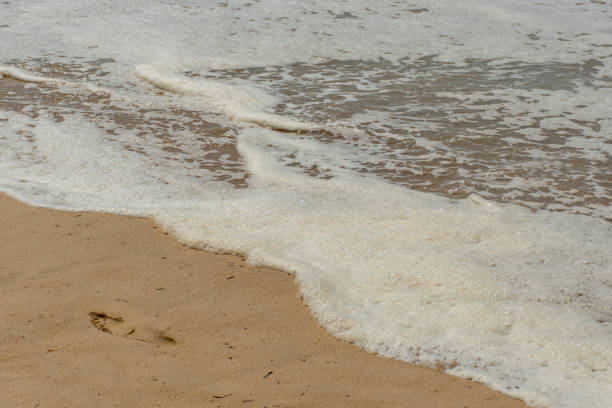 istock Foam in the waves and lonely footprint on a sandy beach 1207718376