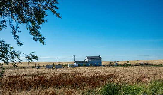 Lodi, California, USA - June 15, 2017: old wooden house and farm buildings on a ranch in Ladai, California, USA. Arid California climate and dried grass on pastures. Summer trip to the southwestern United States