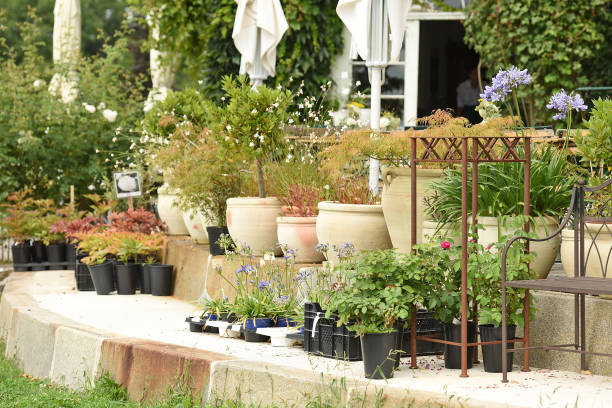 istock A beautiful garden with different types of flowers in Upper Austria (Austria) 1207721540