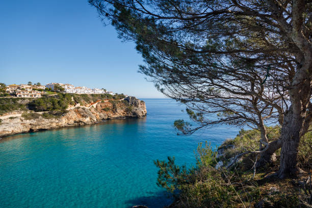 istock Cala Romantica beach in Mallorca 1207723484
