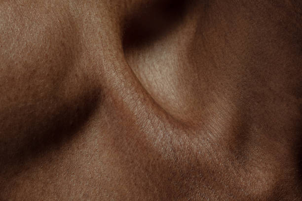 人間の肌の質感。アフリカ系アメリカ人の男性の体のクローズアップ - dry skin close up horizontal macro ストックフォトと画像