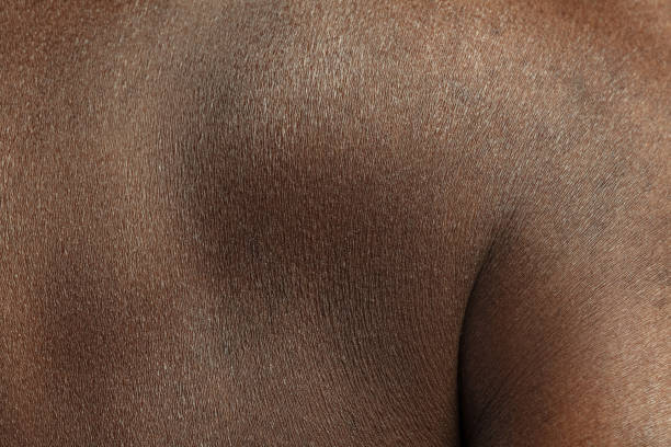 Texture of human skin. Close up of african-american male body Back. Detailed texture of human skin. Close up shot of young african-american male body. Skincare, bodycare, healthcare, hygiene and medicine concept. Looks beauty and well-kept. Dermatology. dermatology photos stock pictures, royalty-free photos & images