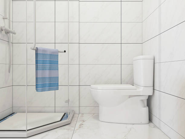 istock 3D rendering,Clean modern residential bathroom and toilet design, which is equipped with washstand, toilet and shower equipment, etc. 1207725105