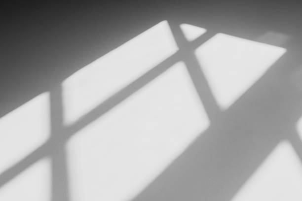 istock shadow of the window in morning light on white wall 1207727981