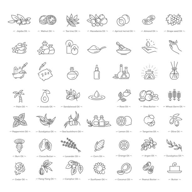 Vector set of natural ingredients and oils for cosmetics in linear style Natural ingredients and oils. Vector line icons ingredient illustrations stock illustrations