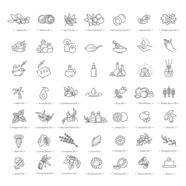 Vector illustration of Vector set of natural ingredients and oils for cosmetics in linear style