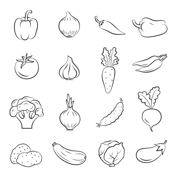 ilustraciones, imágenes clip art, dibujos animados e iconos de stock de iconos de verduras. - beet common beet isolated red