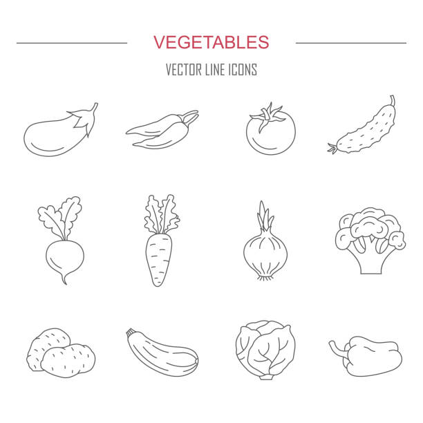 ilustraciones, imágenes clip art, dibujos animados e iconos de stock de iconos de verduras. - beet common beet isolated red