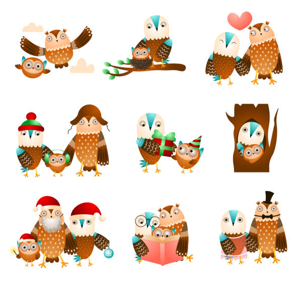 Set of cute family owl in different daily funny situation Set of cute family owl in different daily funny situation, holiday free time. Cartoon style. Vector illustration on white background animal family stock illustrations