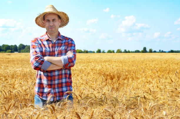 istock Happy looking farmer in straw hat stands at harvest ready wheat field 1207735592