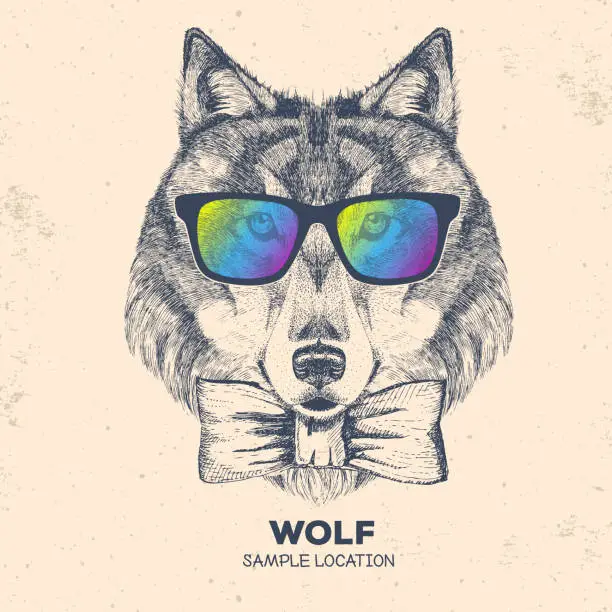 Vector illustration of Hipster animal wolf. Hand drawing Muzzle of wolf