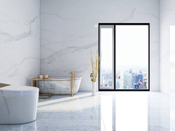 istock 3D rendering, modern residential clean bathroom design, with washbasins, mirrors, toilets, shower equipment and bathtubs, the sun shines in from the floor window. 1207739647